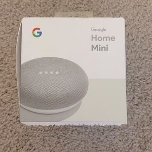 The Google Home Mini